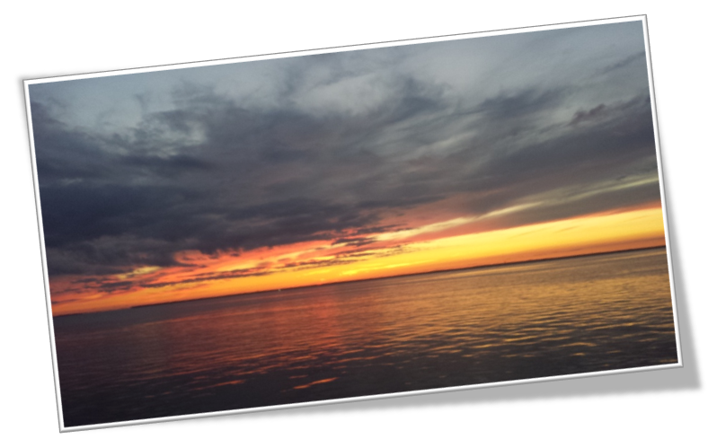 Waretown/Ocean Twp NJ Real Estate